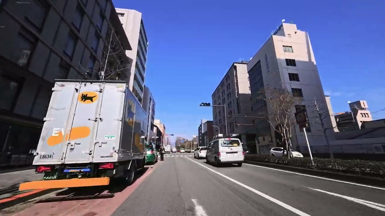 【今日の京都＃47.33】2026年2月4日 四条烏丸～京都御苑南側東側～鴨川デルタ ランランルーを連呼する園児②