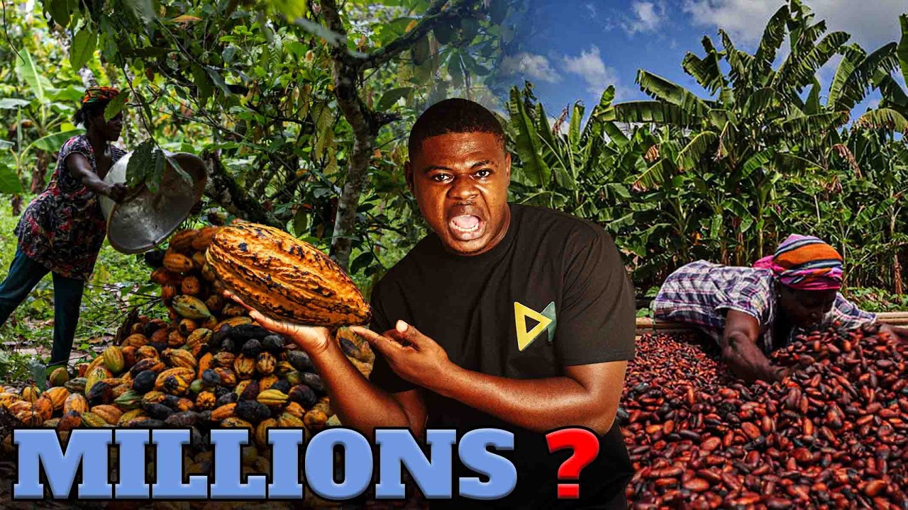 How Farmers Make Millions From Cocoa