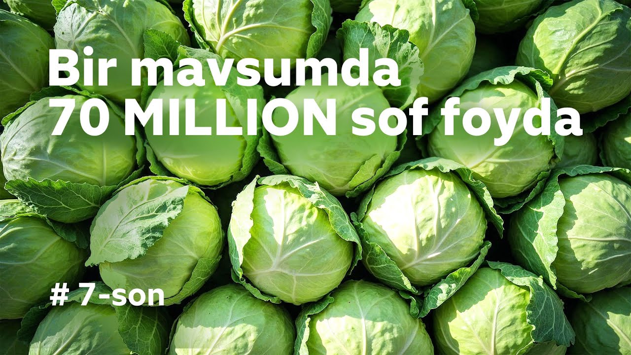 Bir mavsumda KARAMdan 70 MILLION SOF FOYDA #7 Mening Tomorqam / ANDIJON
