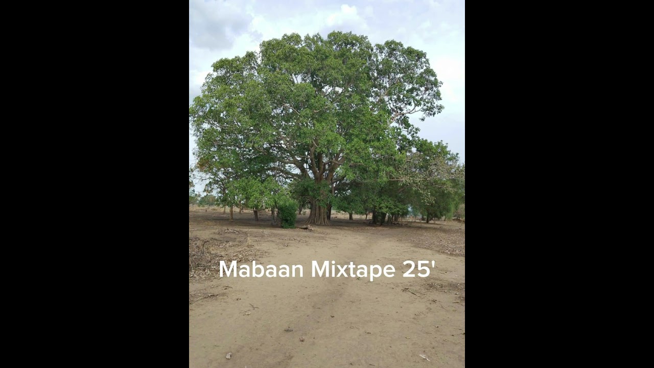 MABAAN MIXTAPE 2025 ,DJ JOE.THA .KING