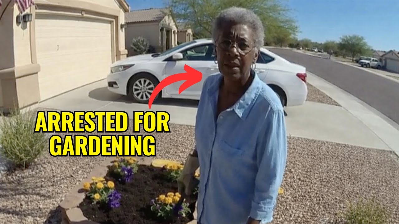 Retired Judge Awarded $620K After Being Wrongfully Arrested While Gardening at Home