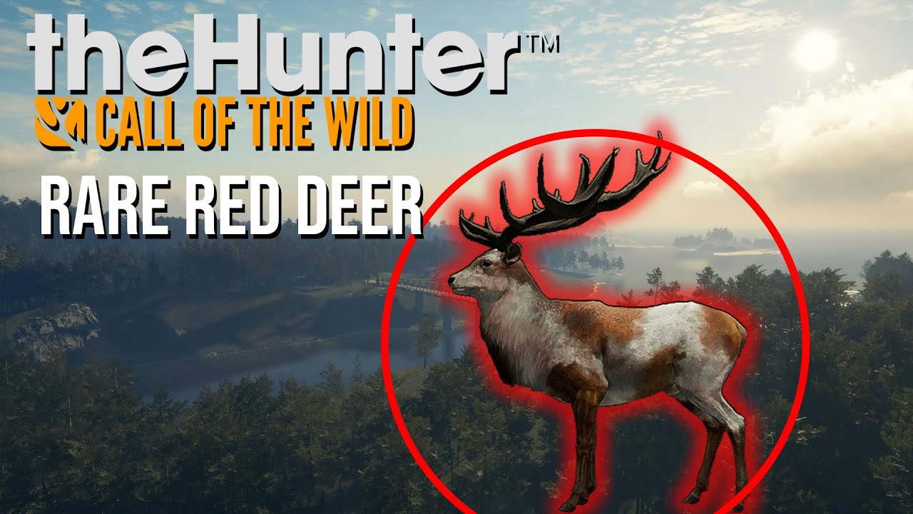PIEBALD (RARE) RED DEER | The Hunter Call of The Wild