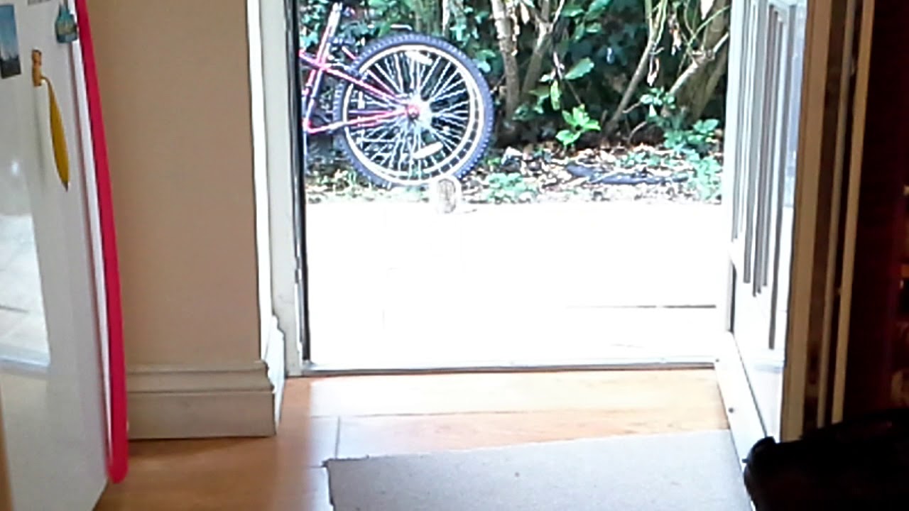 #FUNNY  # squirrel #kiki#