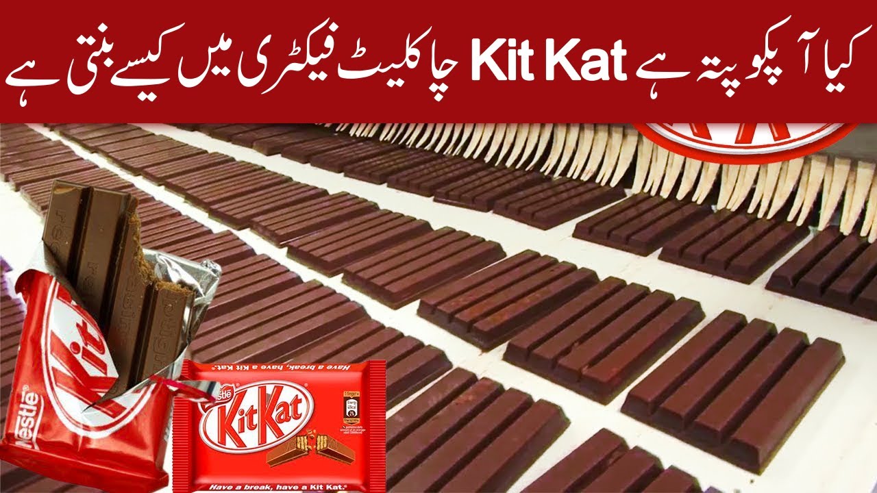 KitKat Making Process In Factory Urdu&Hindi | How Kit Kats Are Made In Factory