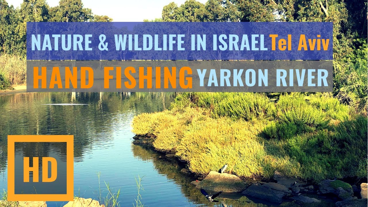 Hand Fishing in Tel Aviv Israel Yarkon River