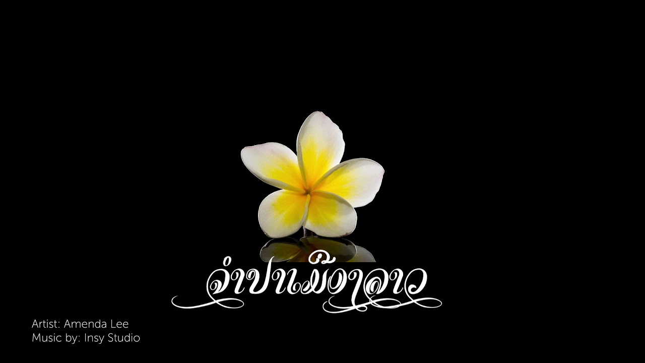 ຈຳປາເມືອງລາວ Champa Muang Lao จำปาเมืองลาว