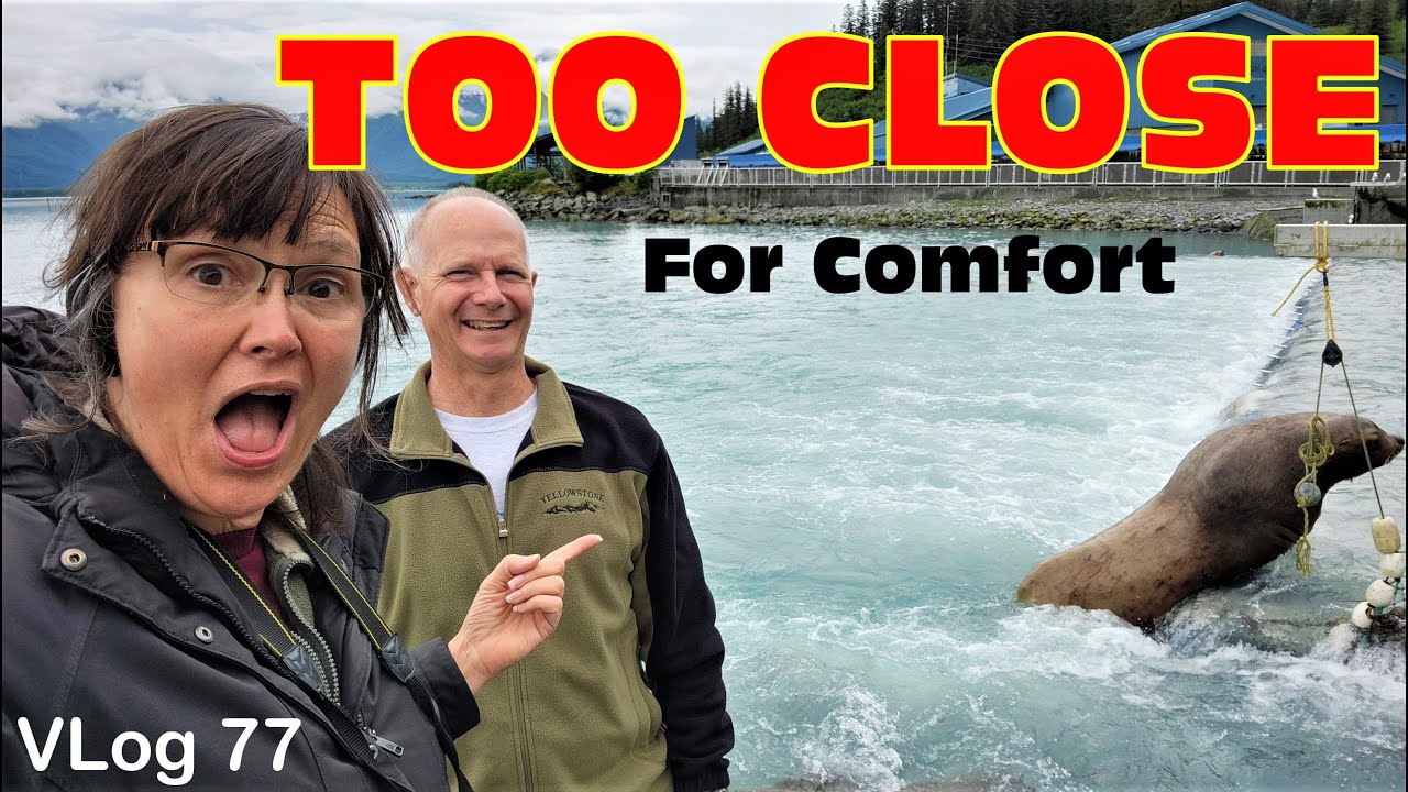 VALDEZ Alaska / RV LIFE / RV Travel / The Last Frontier/ WILDLIFE Viewing
