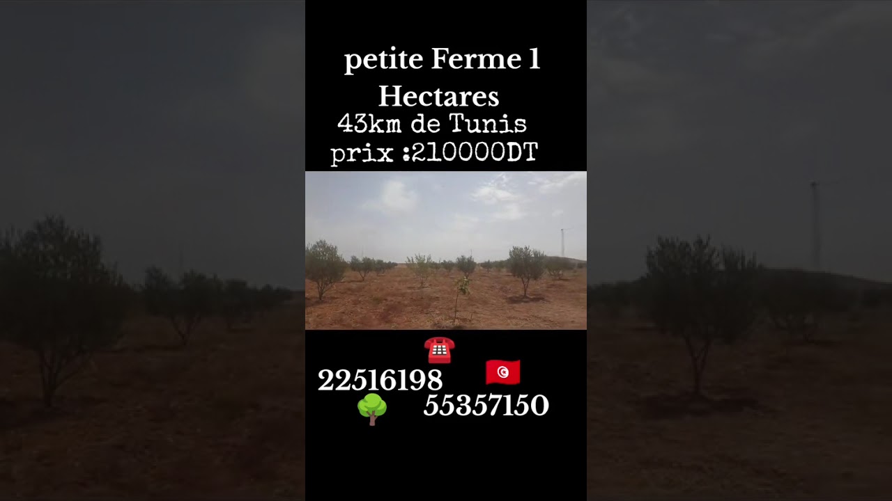 Petite frame 1 hectare 