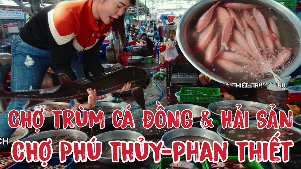 CHỢ PHÚ THỦY ,PHAN THIẾT- TRÙM CÁ ĐỒNG VÀ HẢI SẢN