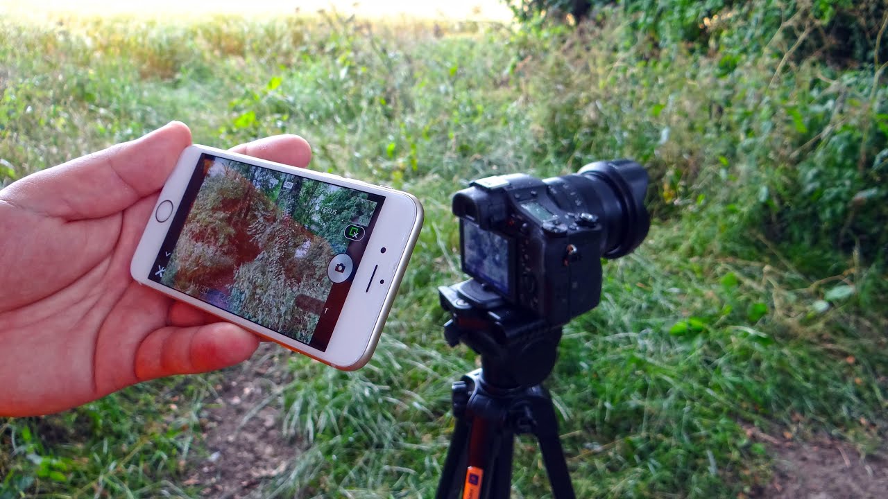 Sony RX10 II- quick video and photo test