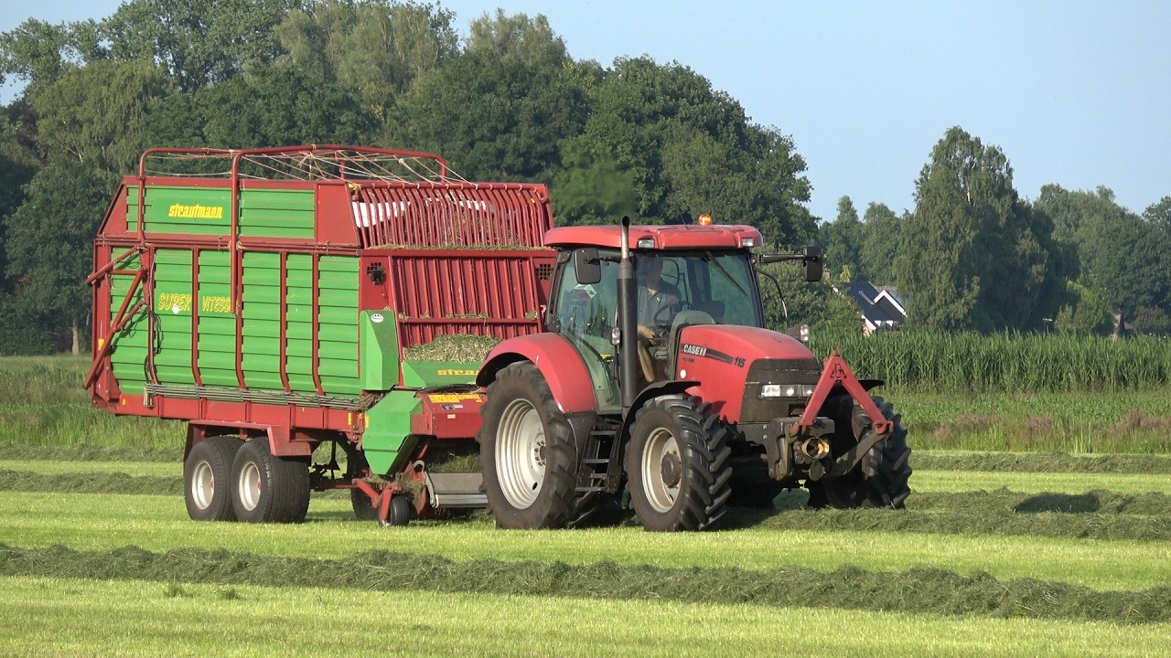 Gras inkuilen met Case IH Maxxum 115x met Strautmann Super Vitesse en JX1100U op de kuil (2025)