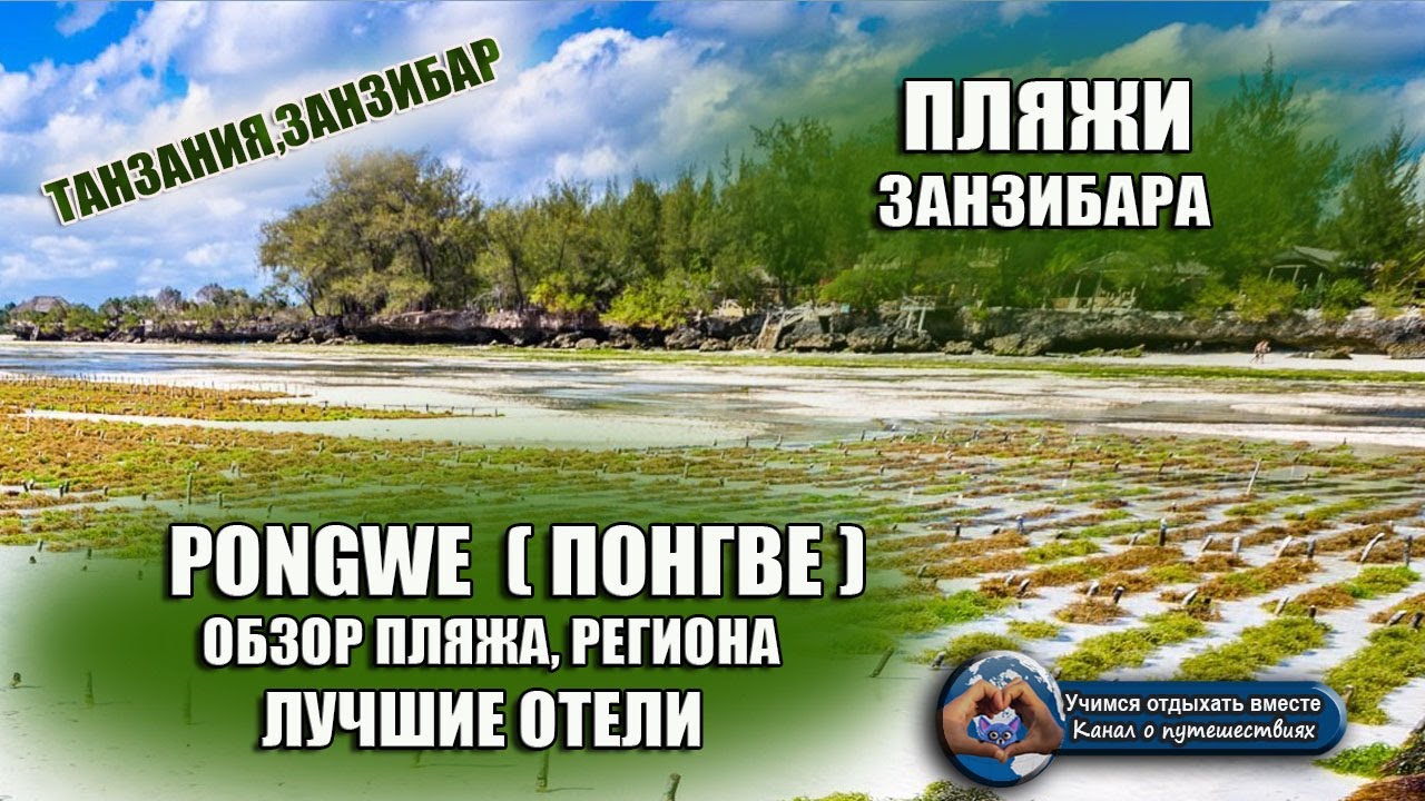 ПЛЯЖИ ЗАНЗИБАРА| Пляж PONGWE (ПОНГВЕ). Обзор региона, отелей, отливы и приливы