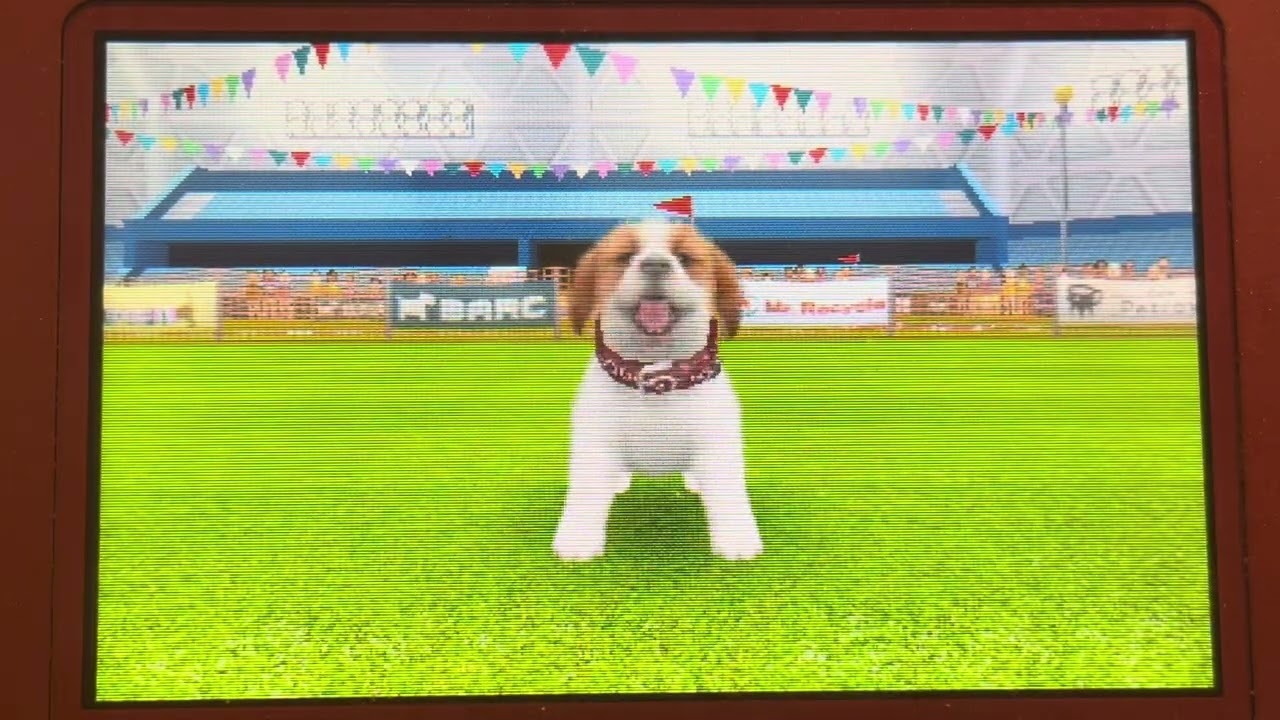 Nintendogs + Cats TPv#7: Sebastian's First Ever Lure Coursing Competition!