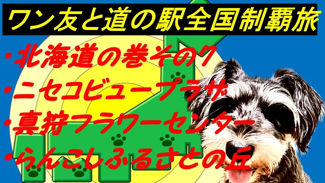 北海道の巻その7 びびりワンコと「道の駅」全国制覇達成を目指す旅チャンネル現在927件達成済今回は①ニセコビュープラザ②真狩フラワーセンター③らんこしふるさとの丘、ミニチュアシュナウザー6才の女子同伴