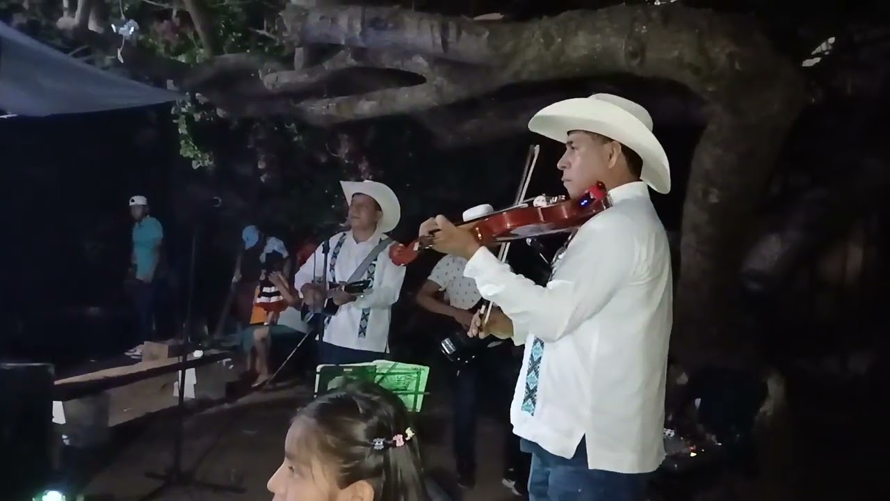 Popurri de musica sonidera y huapangos norteños en vivo