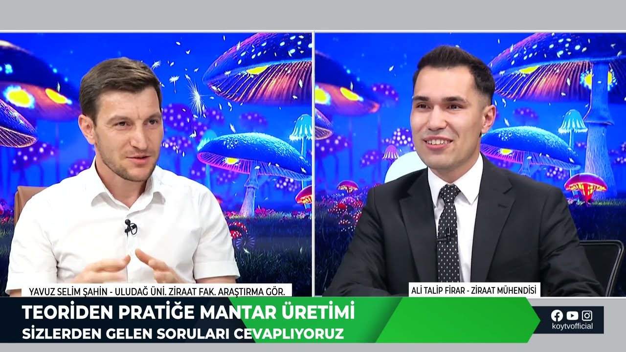 İSTİRİDYE MANTARI YETİŞTİRİCİLİĞİNDE PİN TETİKLEME D&Ouml;NEMİ | TEORİDEN PRATİĞE MANTAR &Uuml;RETİMİ
