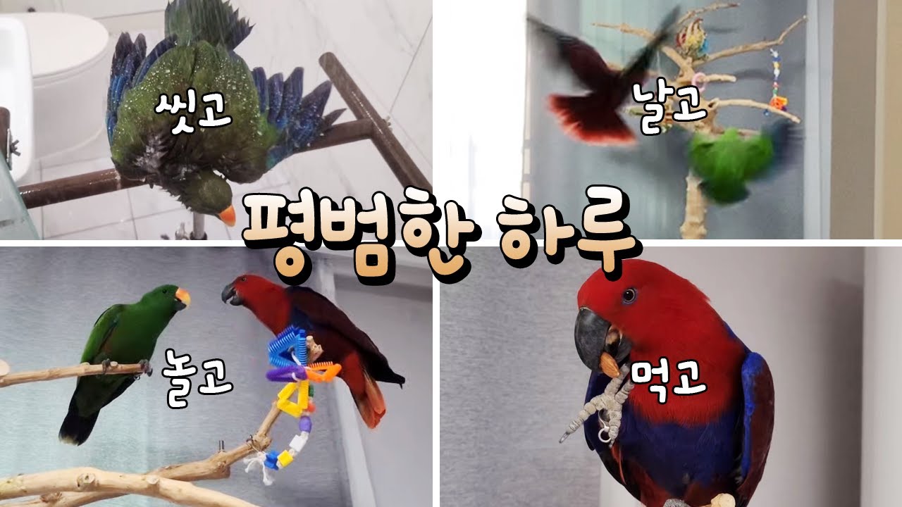 [지구젤리/일상] 평범한 어느날 브이로그