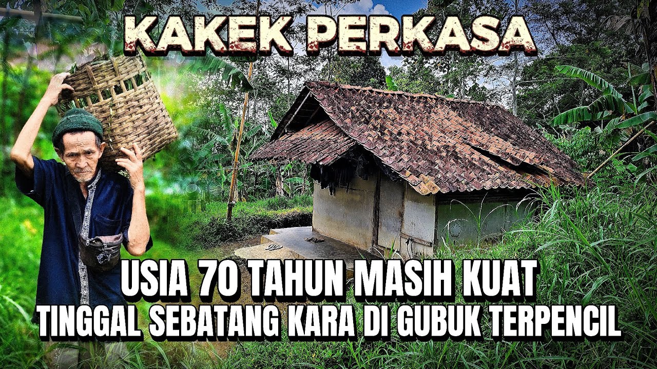 Kakek Perkasa‼️Usia 70 Tahun Masih Kuat Beraktivitas, Tinggal Sebatang Kara Di Gubuk Desa Terpencil