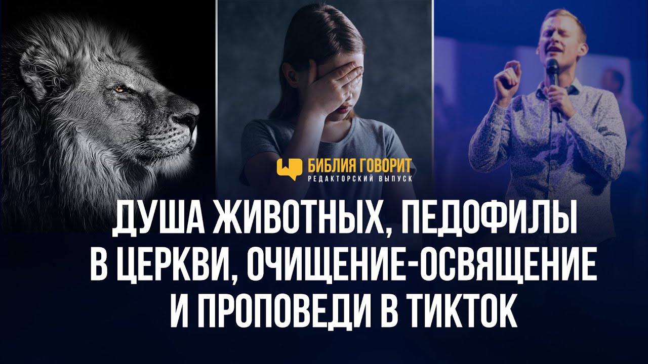 Душа животных, педофилы в церкви, проповеди в ТикТок | Редакторский выпуск - 97 