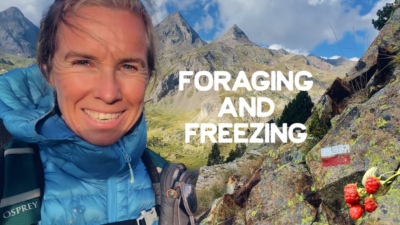 Hiking Alone and Food from the Wild! GR11 Thruhike Vlog | Stage 12, 13 & 14