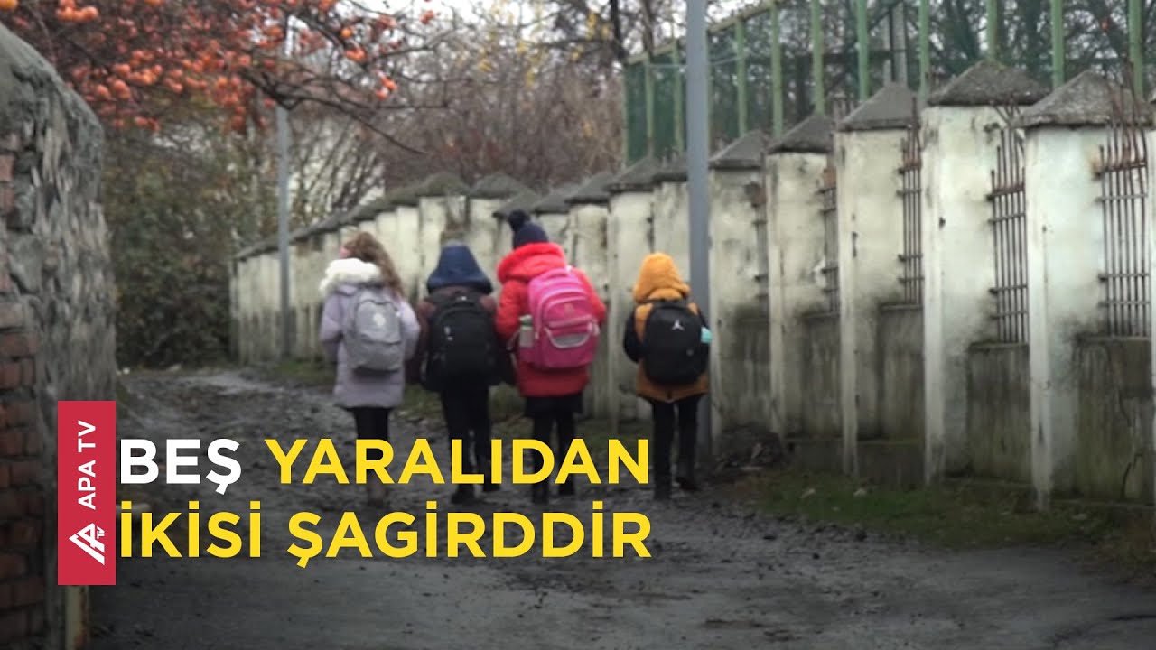 Zaqatalada dəhşət: Çaqqal dərsə gedən uşaqlara hücum etdi - APA TV