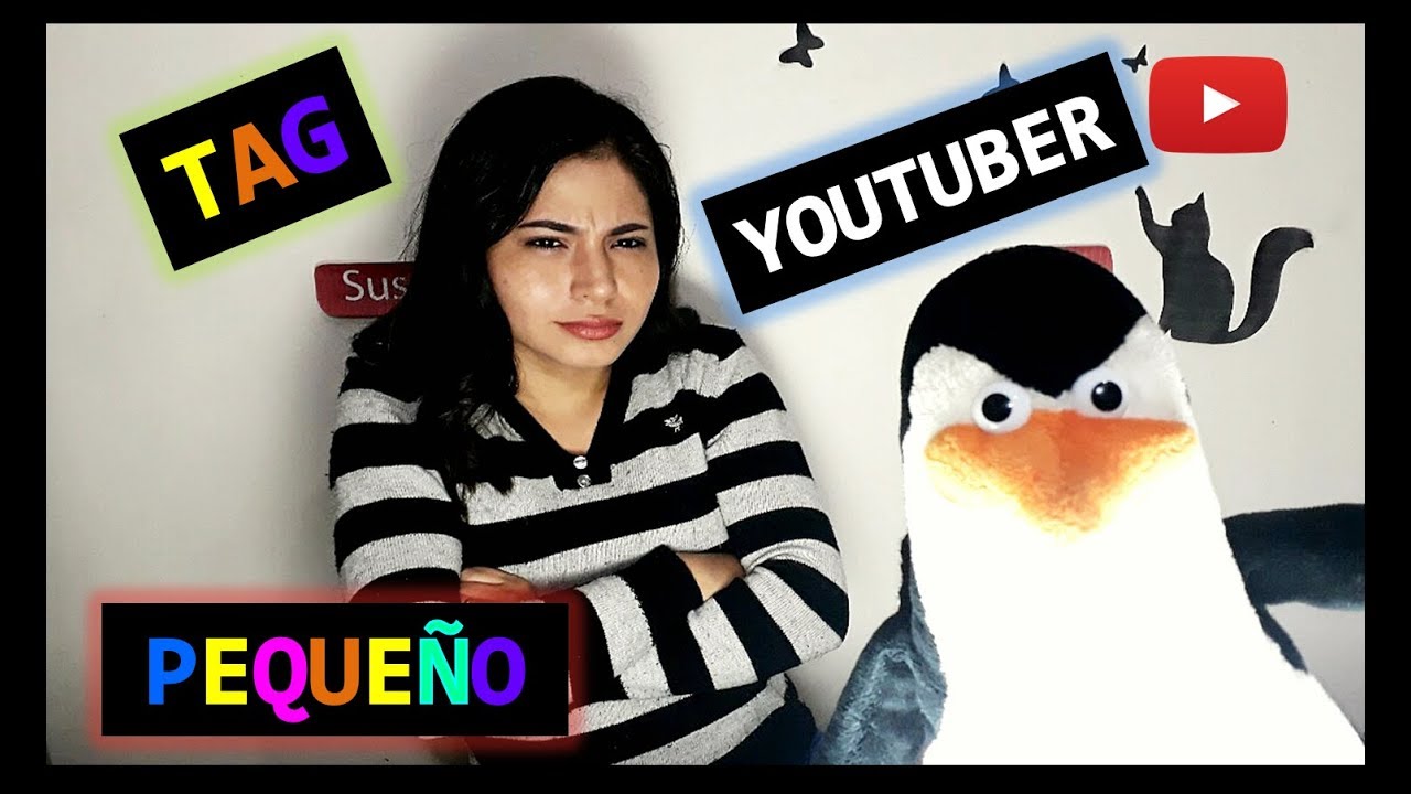 TAG DEL YOUTUBER PEQUE&Ntilde;O | ANIMATE CON MINDY