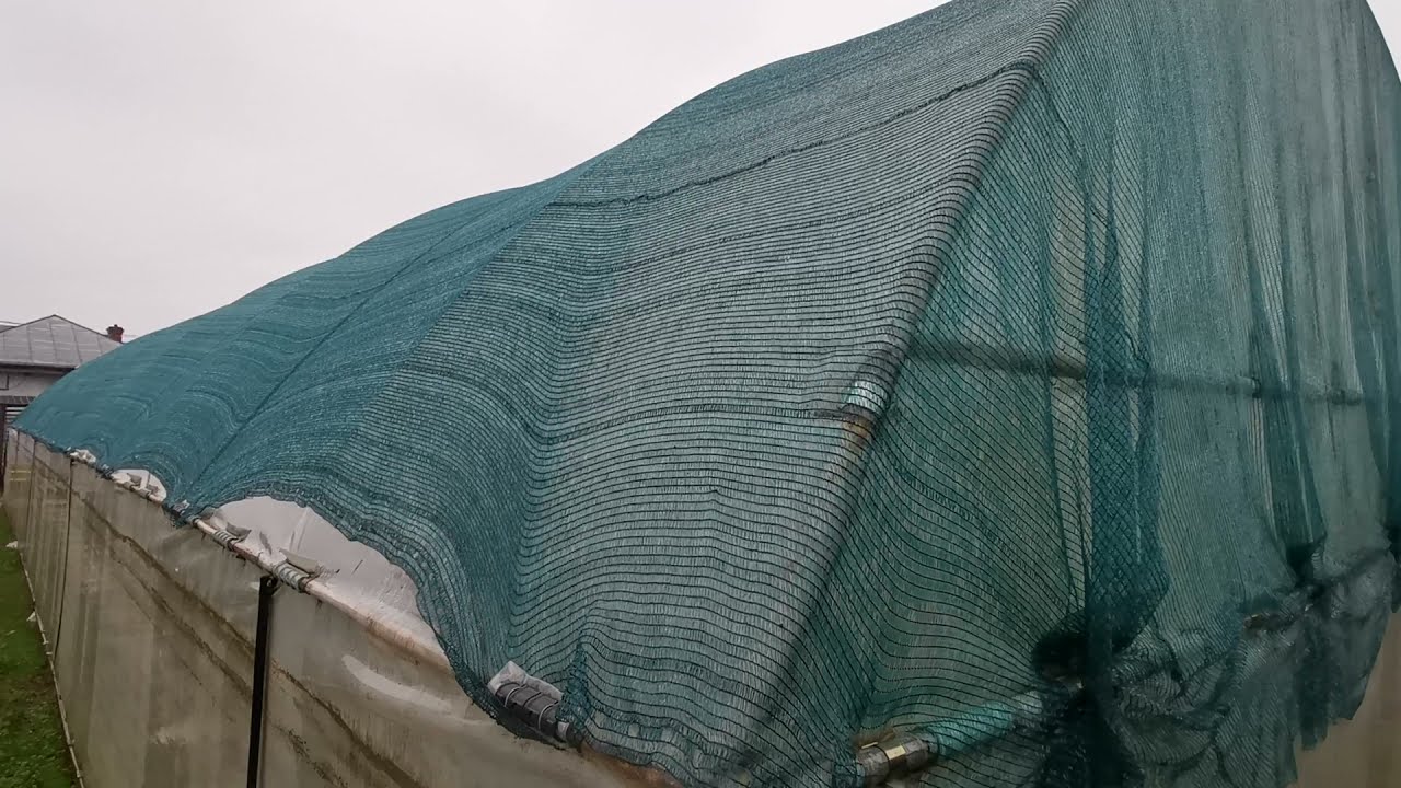 CÂND DAM PLASA DE UMBRIRE JOS DE PE SOLAR!