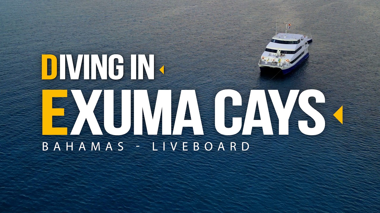 Diving in The Bahamas - The Exuma Cays - Liveaboard Trip