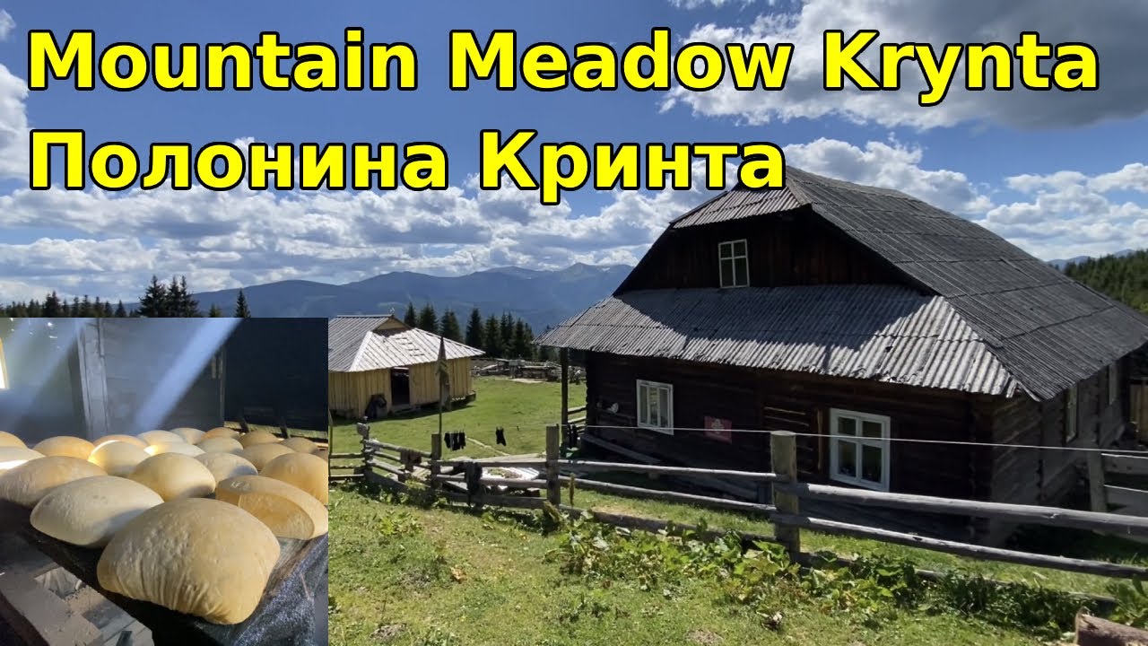 Полонина Кринта. Сыроварня. Гора Крента Верхняя. Гора Змеинская. Поход 18.06.2022