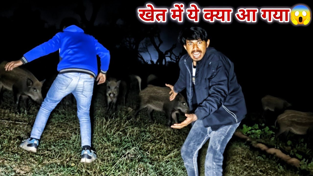 खेत में ये क्या आ गया 😱@OVERNIGHTSURVIVE 