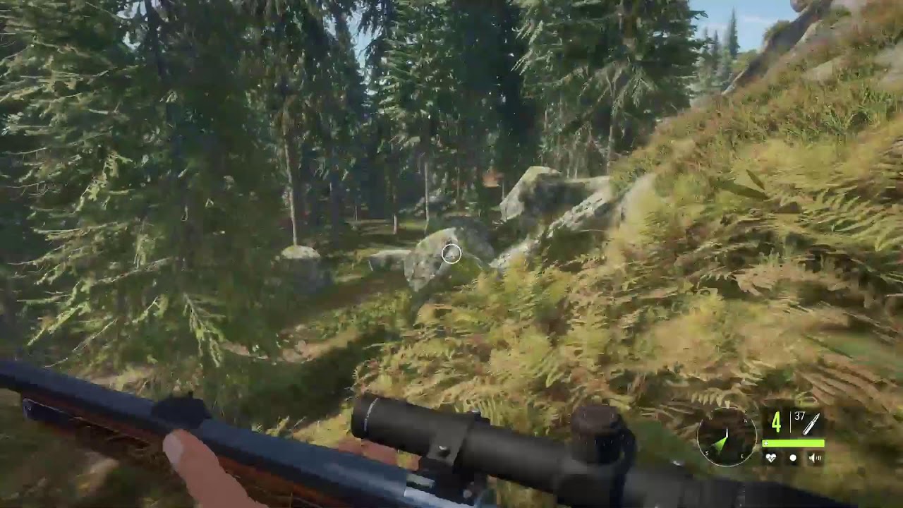 Cotw