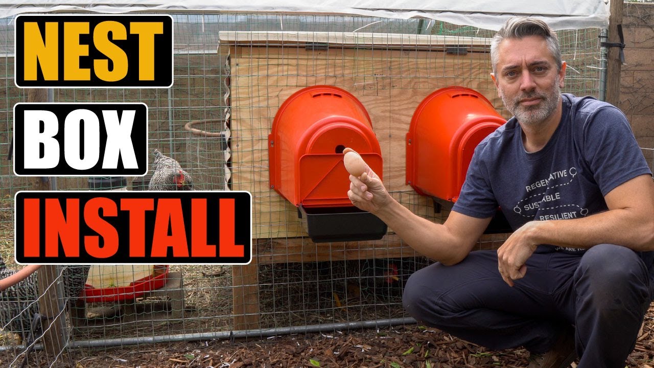 Installing Roll Away Nest Boxes