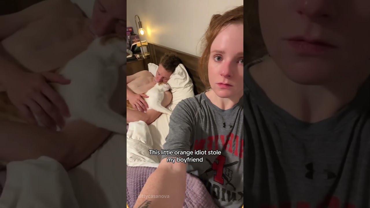 Team Husband: My cat’s favorite human!#cat #catsoftiktok #catlover #funny #funnyvideos #foryou