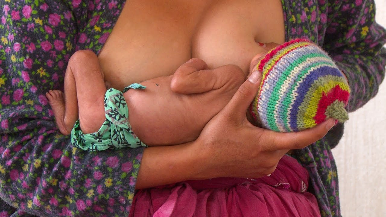Breastfeeding the Small Baby (French) - Small Baby Series