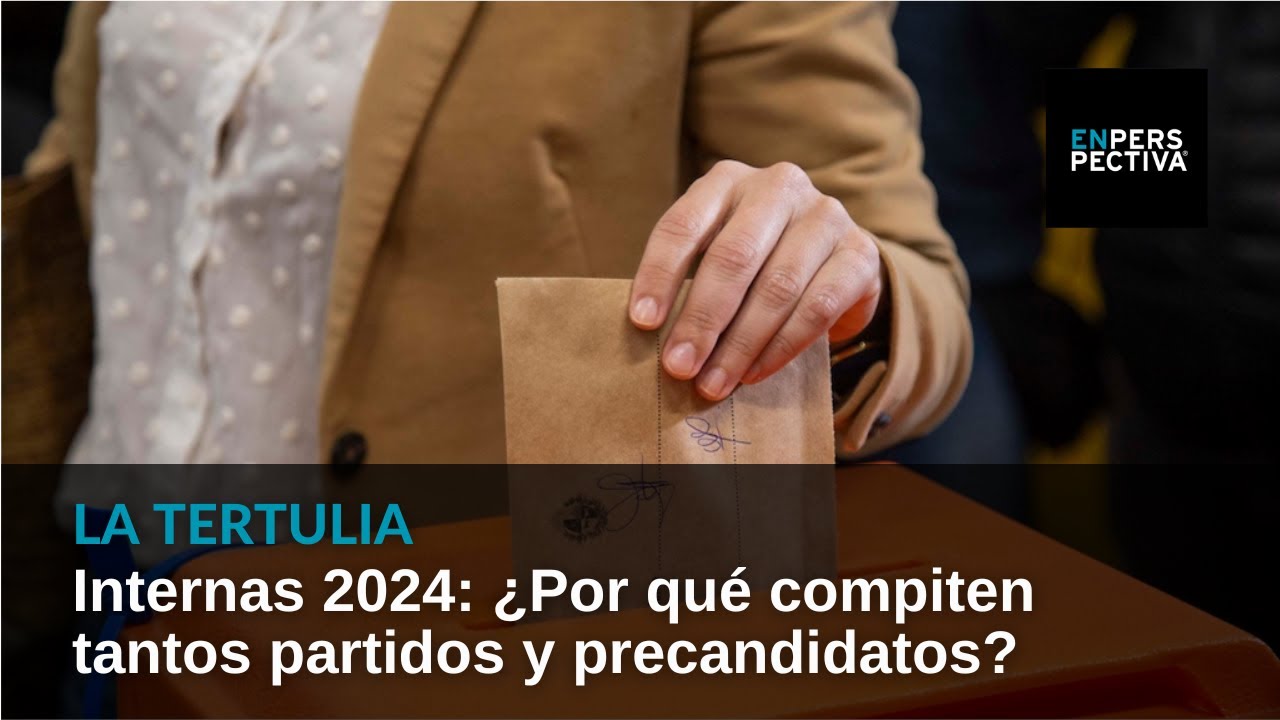 Internas 2024: ¿Por qué compiten tantos partidos y precandidatos?