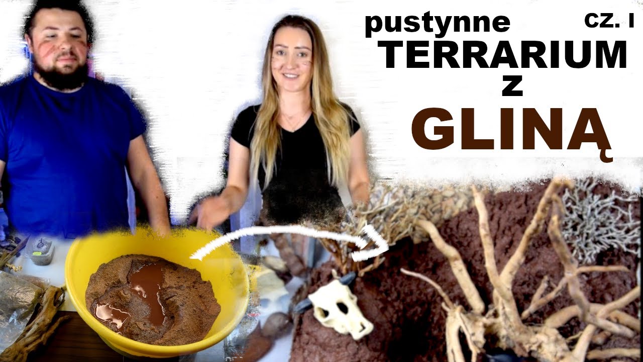 Pterinochilus murinus usambara | TERRARIUM ZE ŚCIANĄ Z GLINY DIY (cz.1/2)