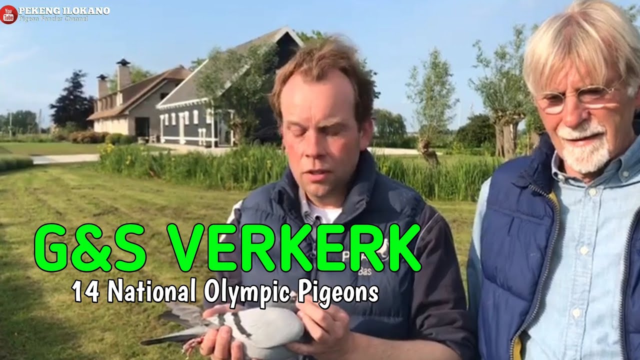 Producenci zwycięzc&oacute;w olimpijskich i krajowych - Gerard & Bas Verkerk