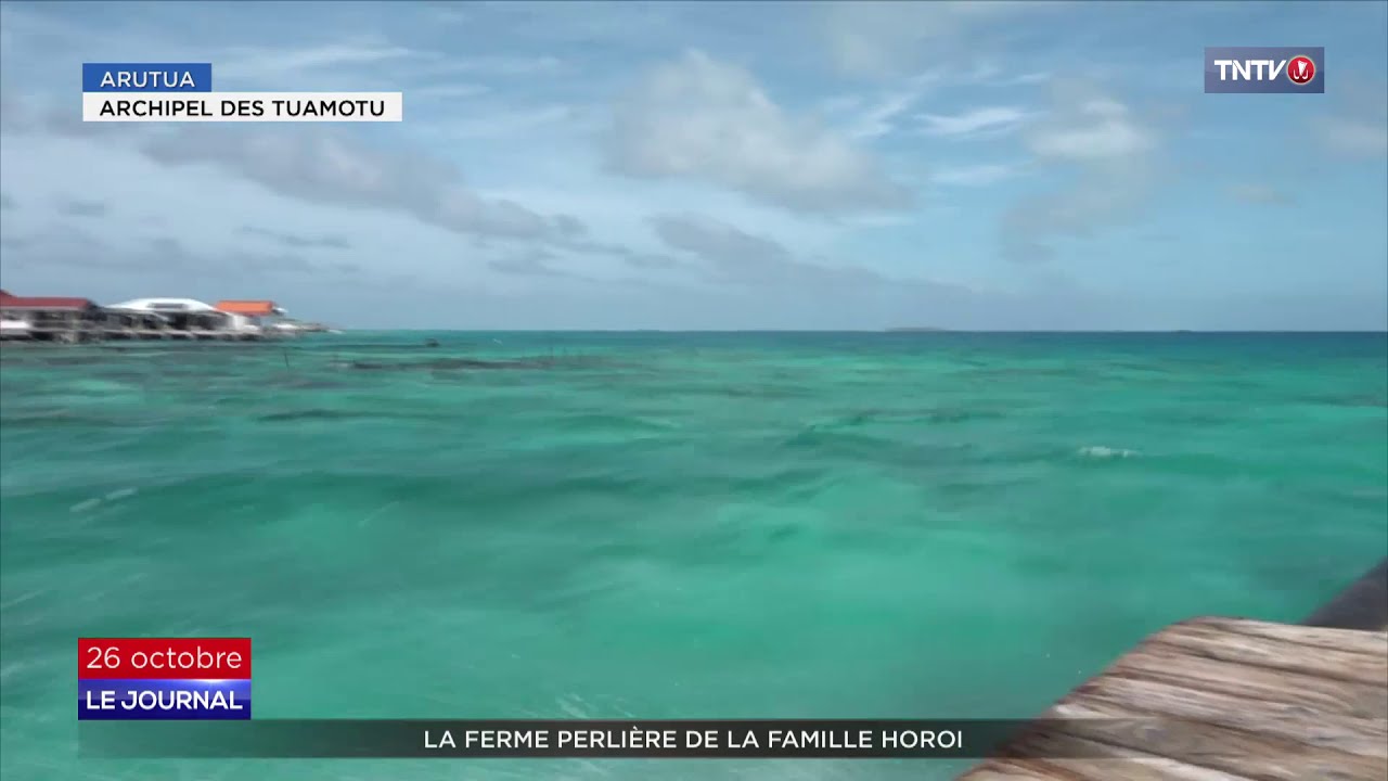 Arutua : Les Horoi, des perliculteurs qui tiennent ferme face à la crise