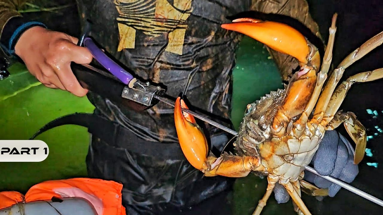 P1 - JACKPOT SA PAMAMANA NG ALIMANGO