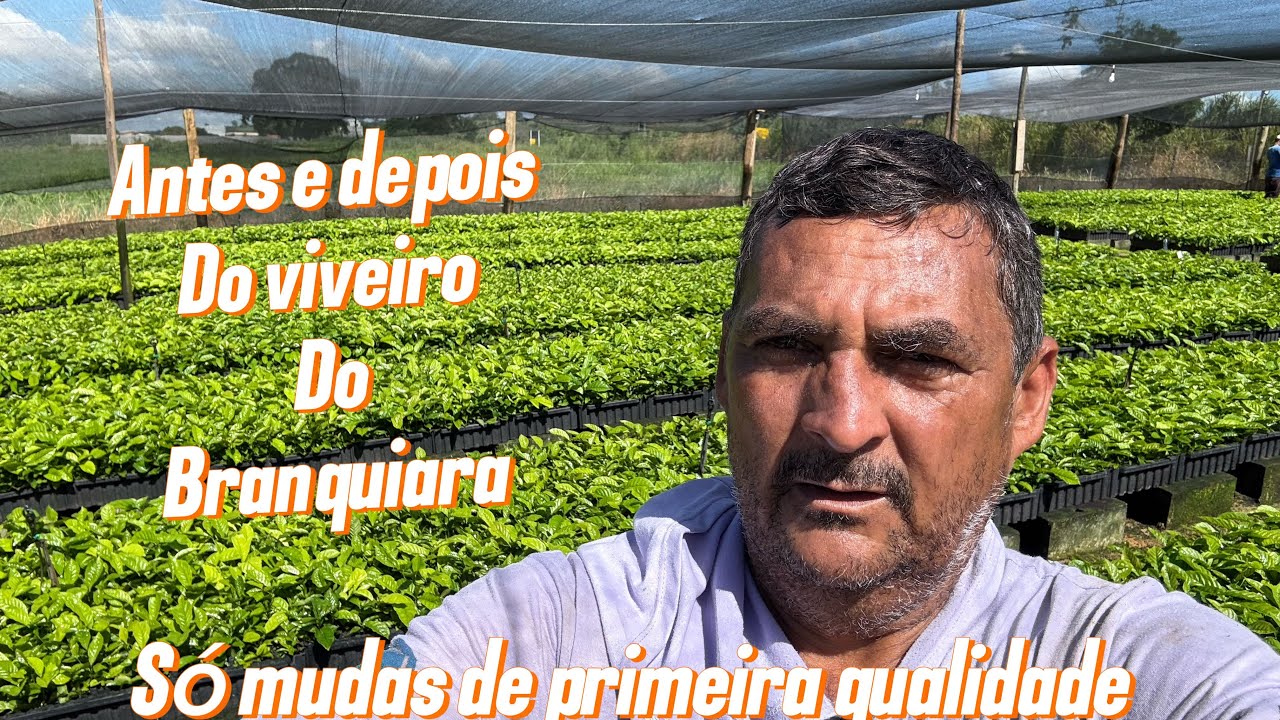 Vejam o antes e o depois do viveiro do Branquiara 