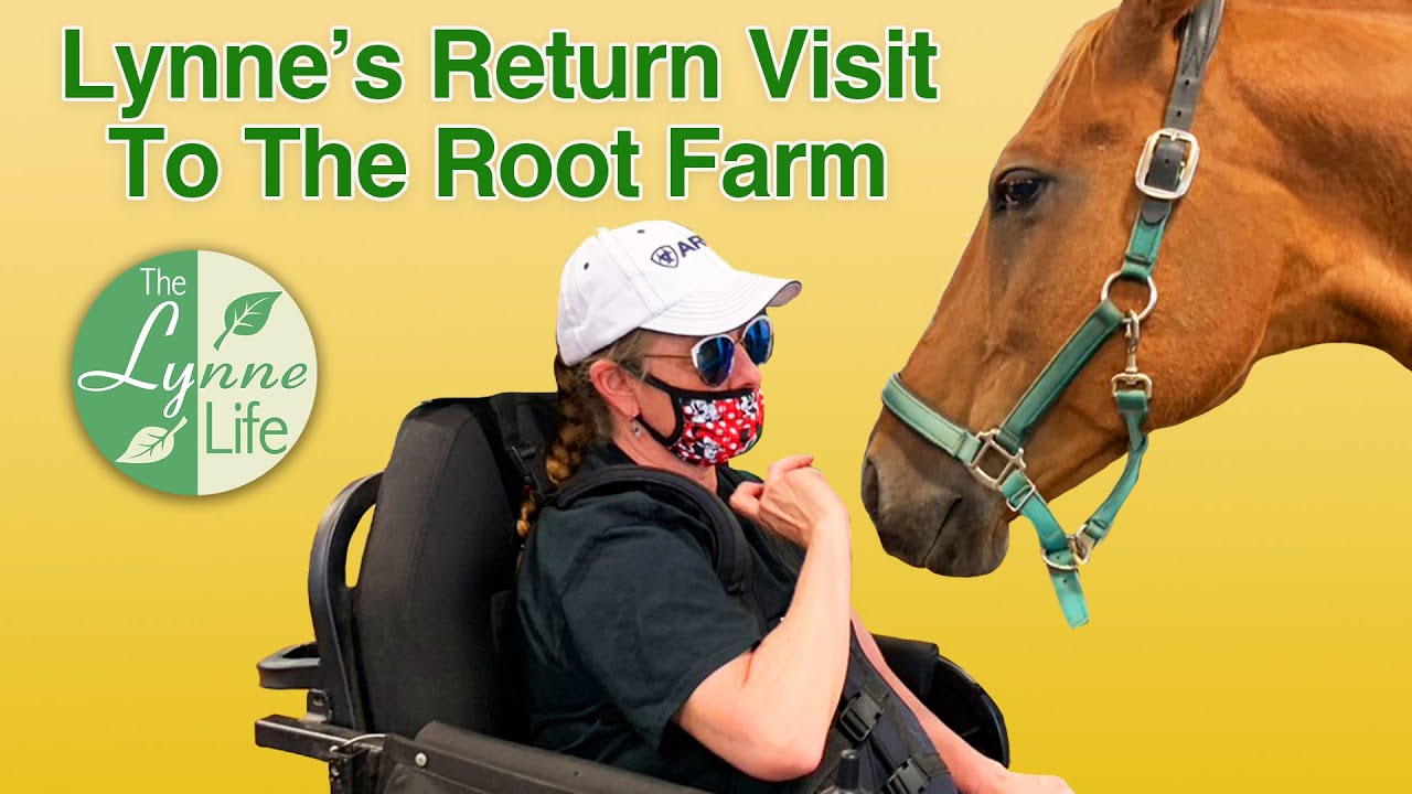 Lynne's return visit to The Root Farm