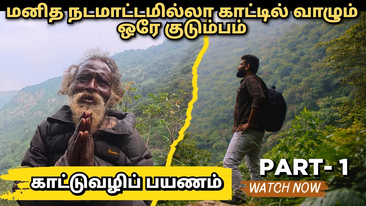 மனித நடமாட்டமில்லா காட்டில் வாழும் ஒரே குடும்பம் - Tribal Hunters 🔥PART - 1        #tribalculture 