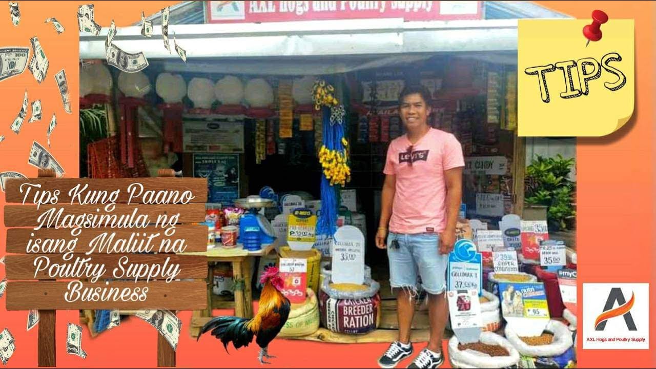 Paano Magsimula ng Isang Maliit na Poultry Supply Business #poultry_business #tips