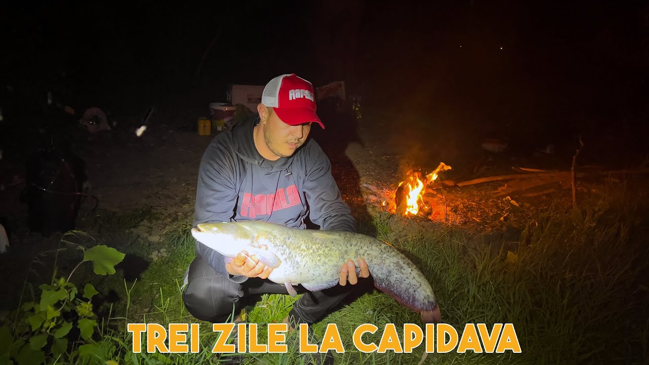 TREI ZILE LA CAPIDAVA