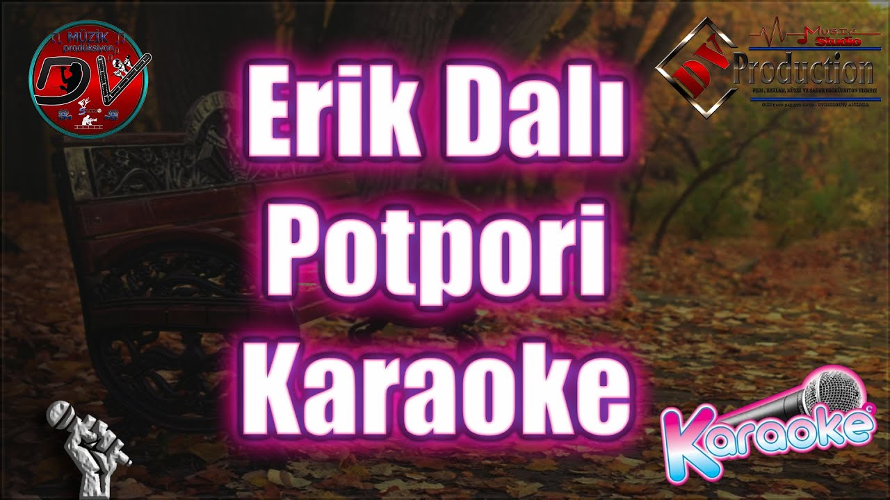 Erik Dalı Karaoke  Potpori  ORJİNAL   ( Erik Dalı - Zambara mı - Huriyem | Dv Müzik Prodüksiyon