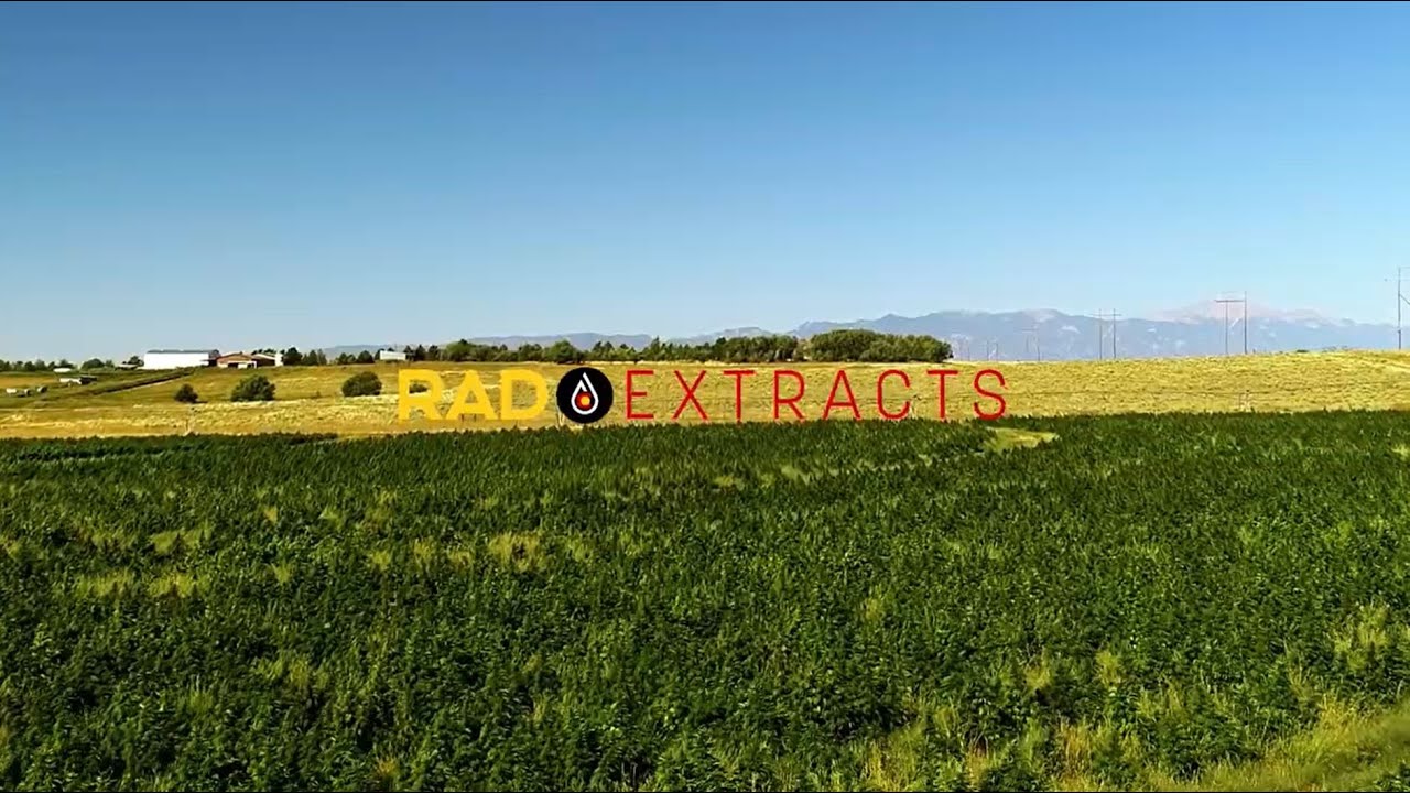 Rad Extract Overview
