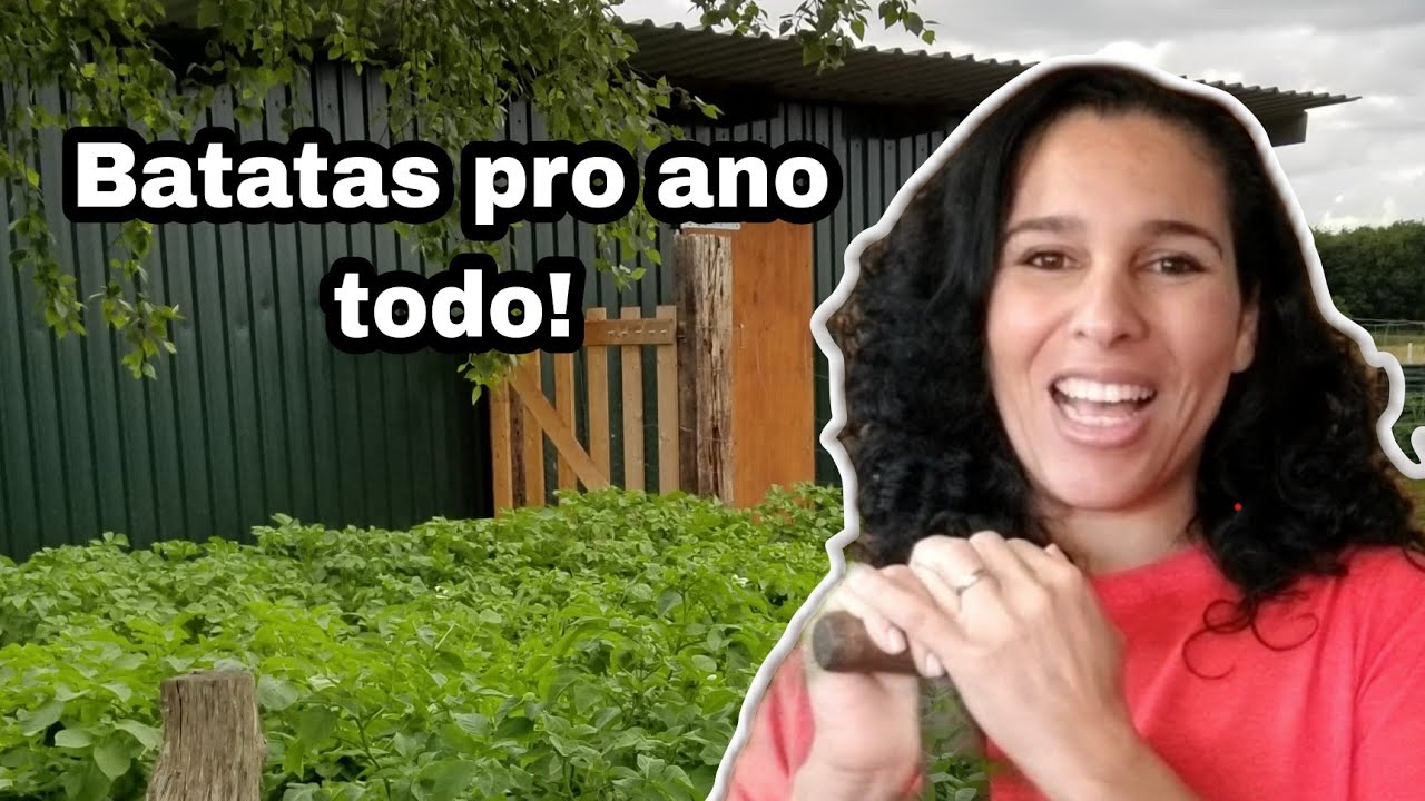 Hortas que plantamos em familia no rancho na Alemanha | Tudo viçoso e lindo!