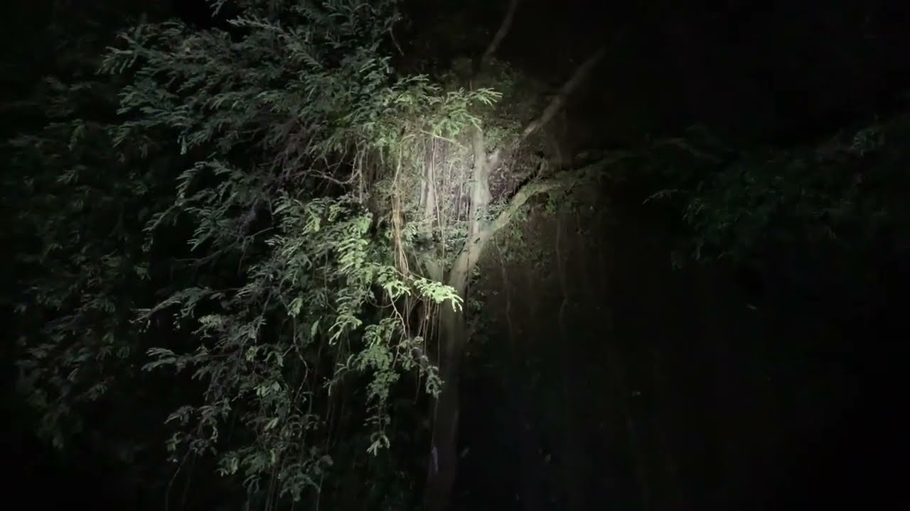 [Live] Kaki Satu di Setra Delodan Keramas Gianyar | Go Rangers Channel