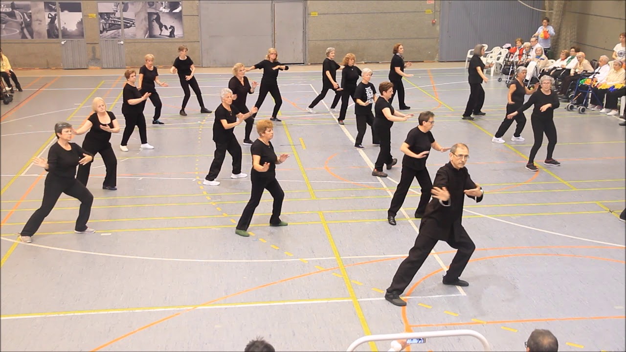 Forma de 28 Movimientos. Estilo Yang Tradicional
