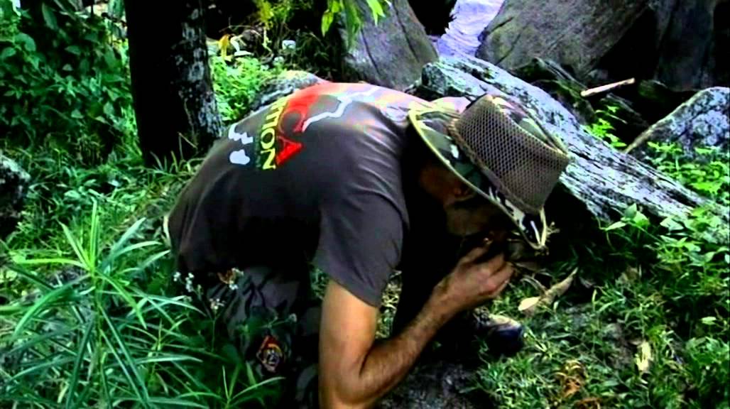 Strain Hunters Malawi Polish Subtitles